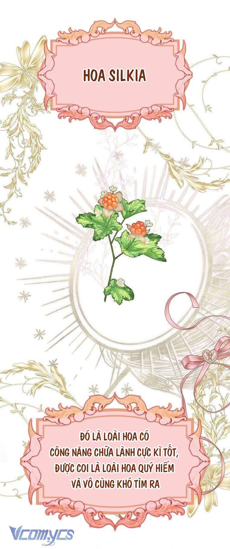 Các Nam Chính Đã Bị Nữ Phụ Cướp Mất Chap 3 - Trang 3