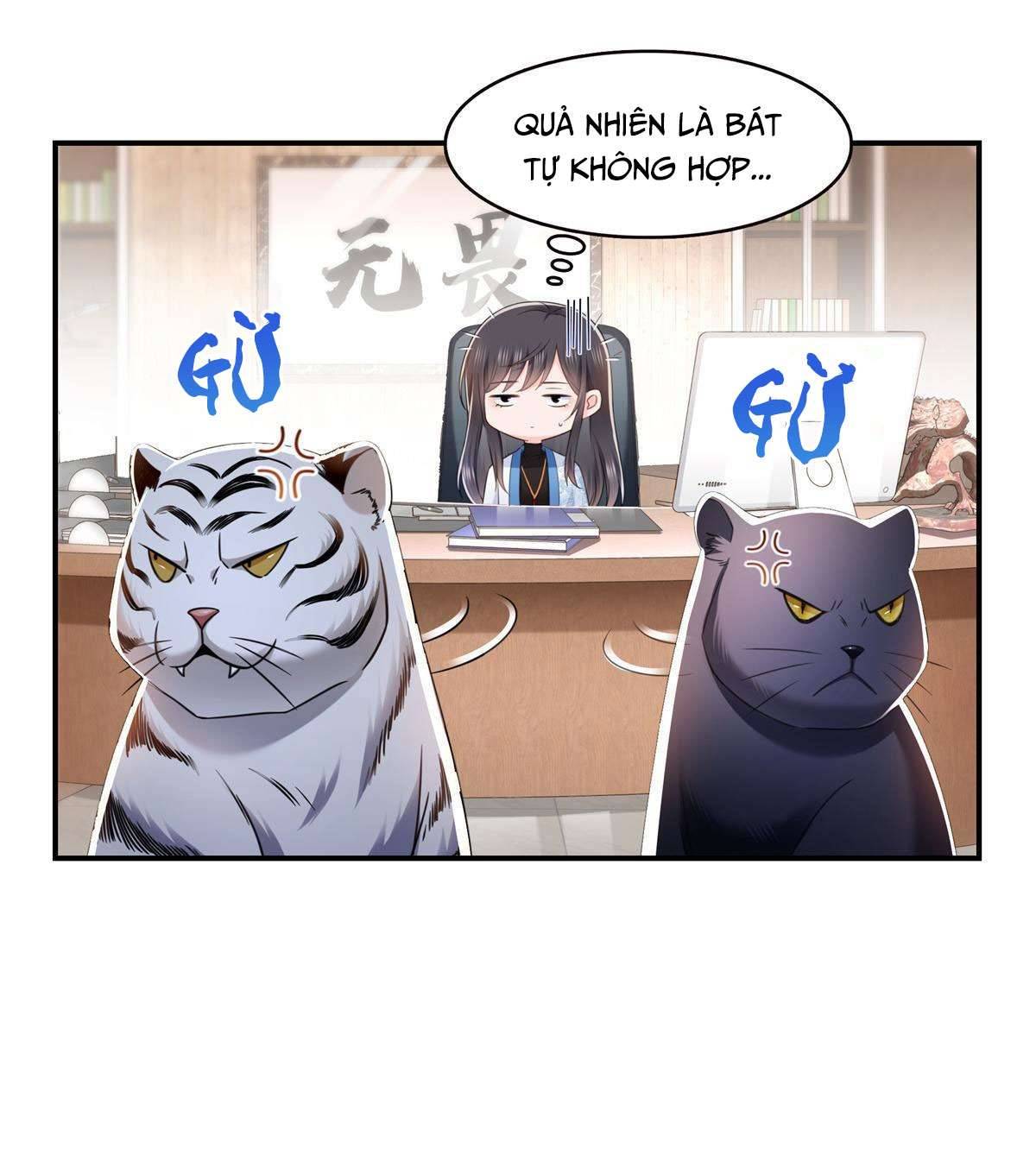 Hệt Như Hàn Quang Gặp Nắng Gắt Chap 277 - Trang 4