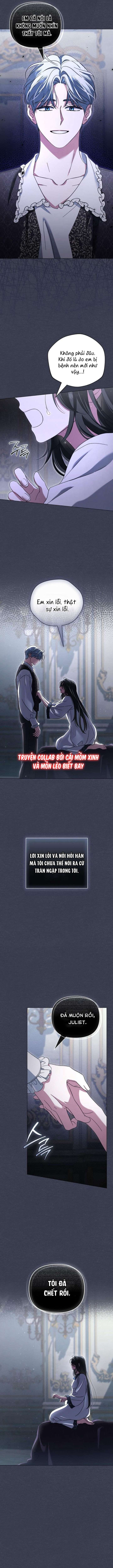 Dành Cho Nàng Juliet Xinh Đẹp Chap 16 - Trang 4