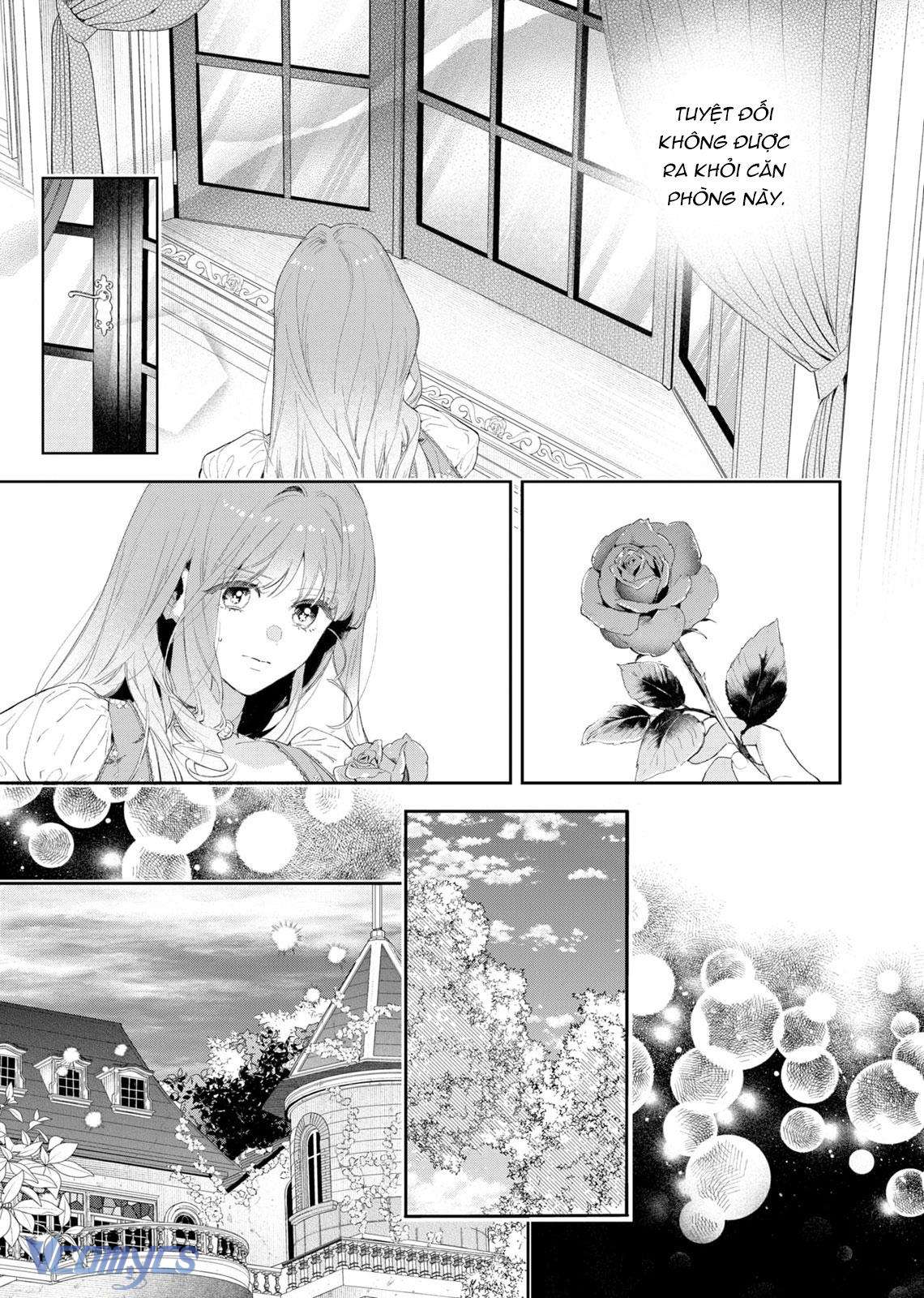 Hoa Hồng Ẩn Giấu Sao Băng Chapter 4 - Trang 4