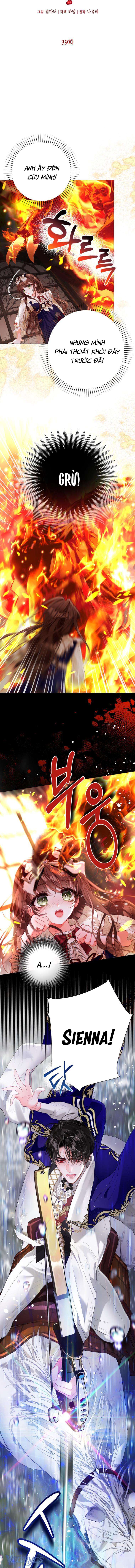 Một Thế Giới Không Có Chị Gái Mà Ai Cũng Yêu Chap 39 - Trang 4