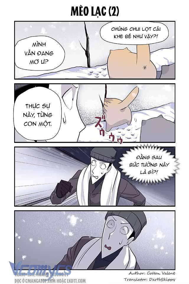 Creepy Cat 96 - Next 120