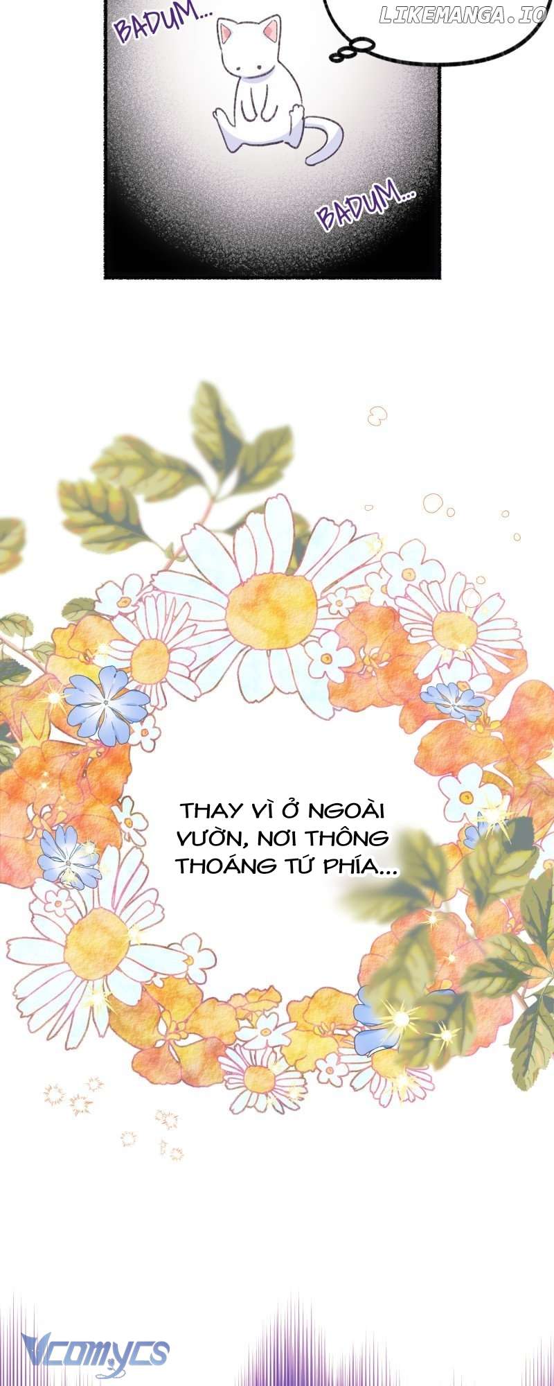 Trở Thành Chú Mèo Ngủ Cùng Bạo Chúa Chapter 1 - Trang 3