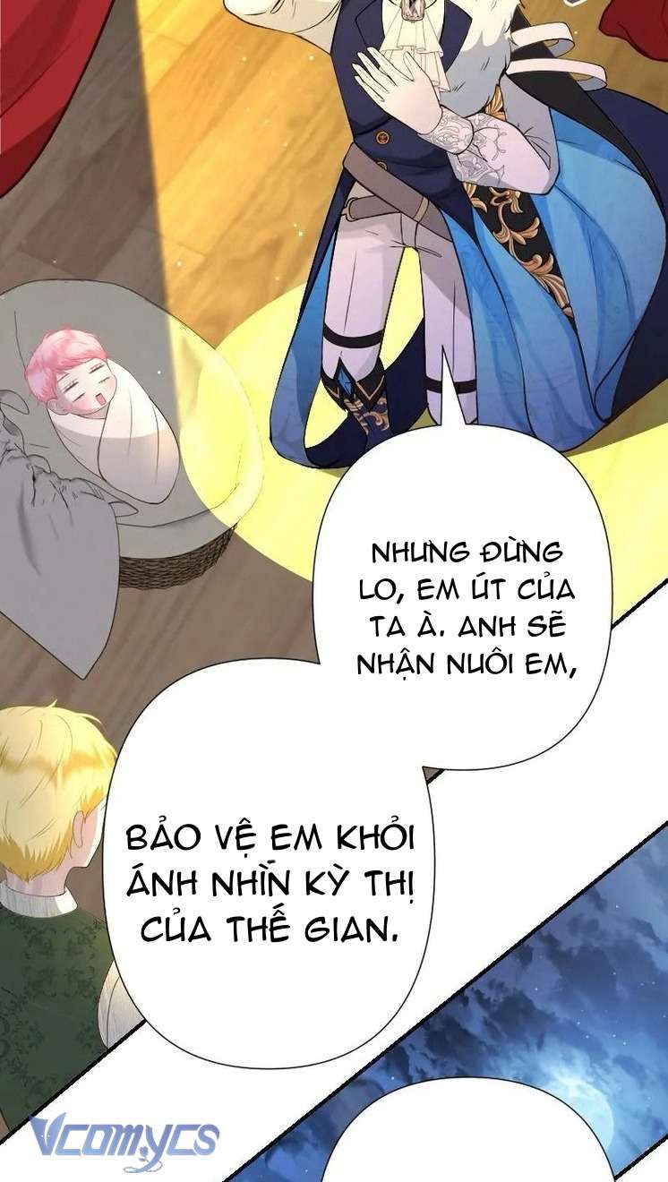 Sau Này Họ Sẽ Sinh Ra Tôi Chapter 15 - Trang 4
