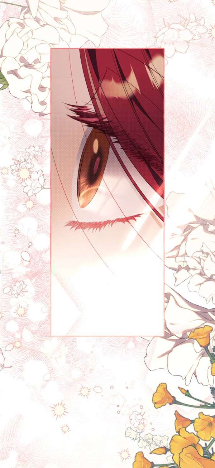 Tôi Tưởng Đó Chỉ Là Tiểu Thuyết Trọng Sinh Bình Thường Chap 28 - Trang 2