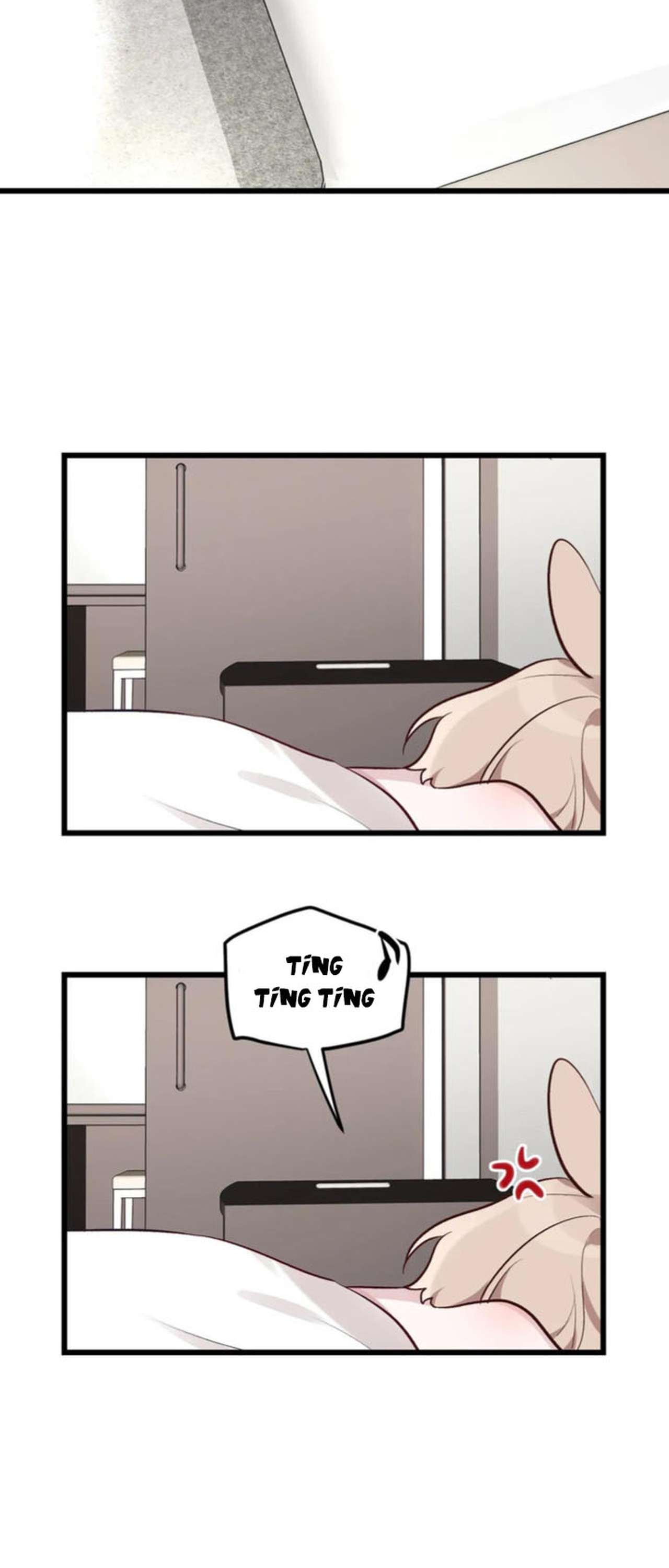 [ 18+ ] Rắn và thỏ có thể kết hôn không? Chap 4 - Trang 2