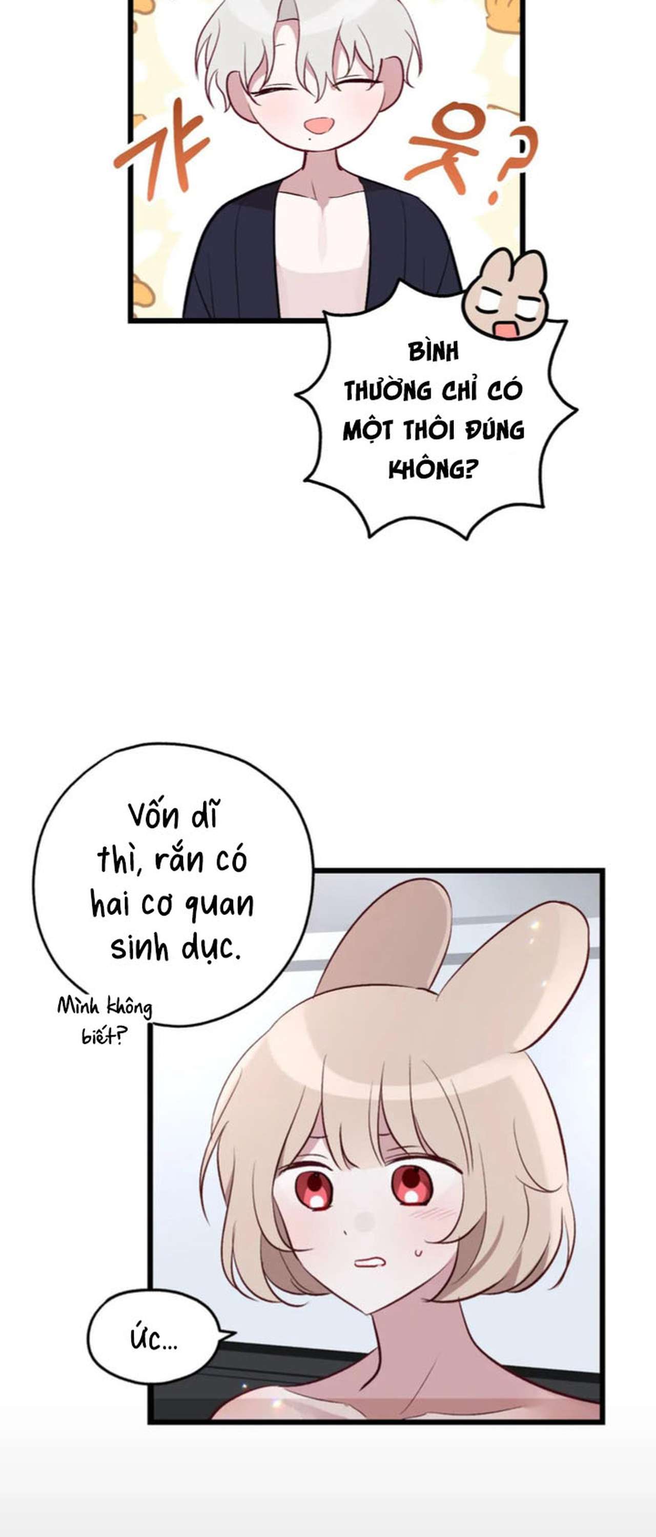 [ 18+ ] Rắn và thỏ có thể kết hôn không? Chap 3 - Trang 2