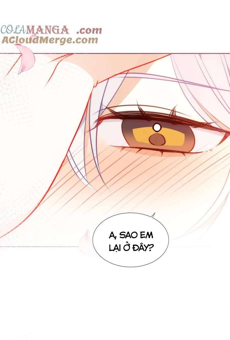 Quán Kịch Bản Trần Mộng Chapter 81 - Trang 3