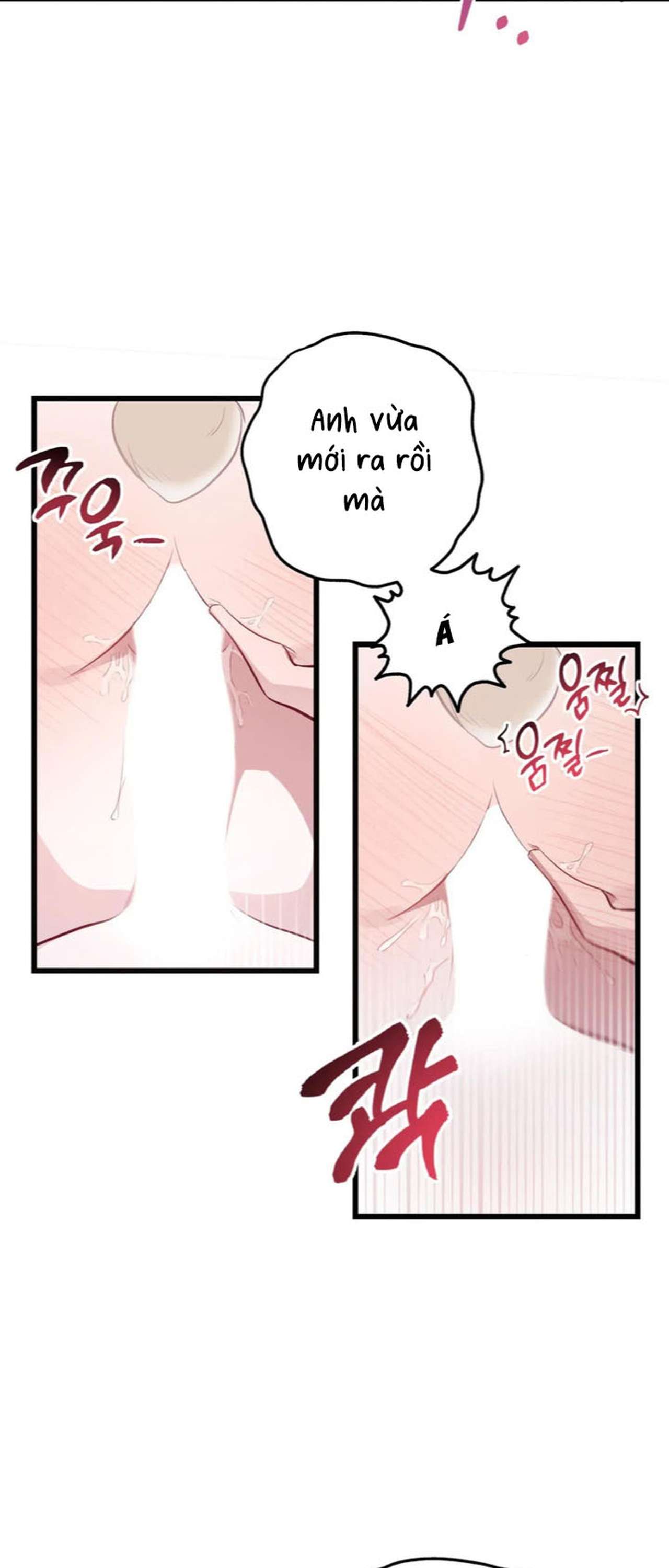 [ 18+ ] Rắn và thỏ có thể kết hôn không? Chap 4 - Trang 2