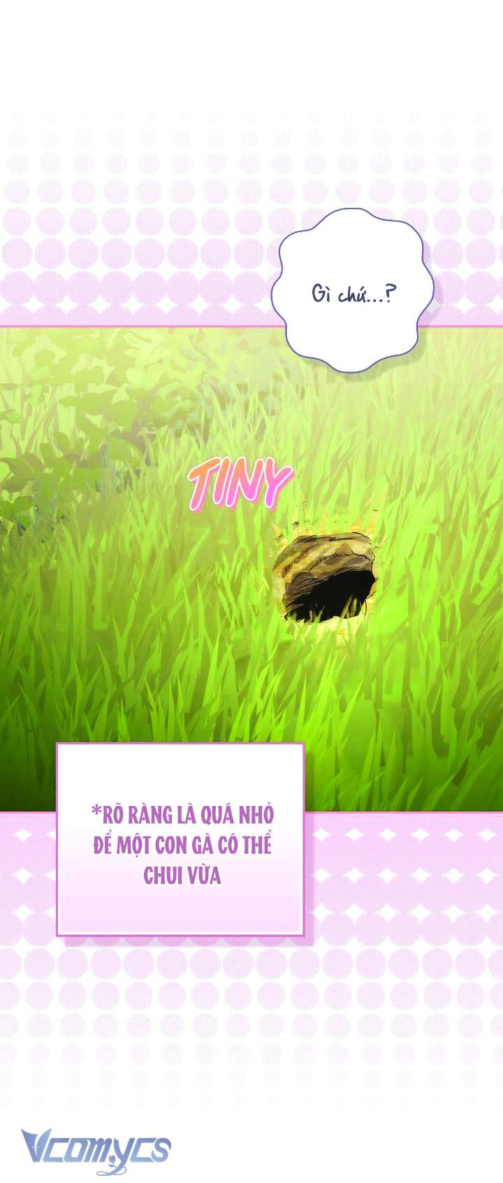 Nàng Công Chúa Trong Chuồng Gà Chap 2 - Trang 3