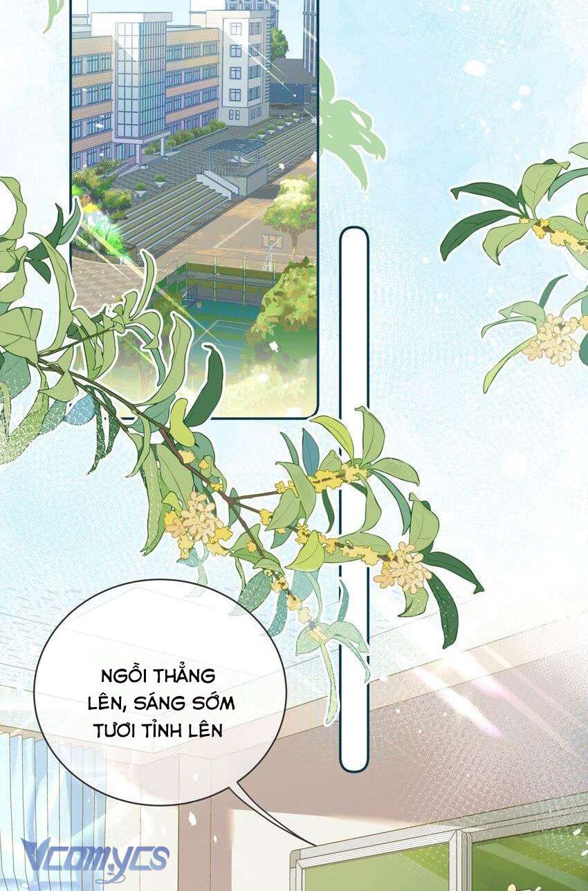 Bong Bóng Đào Chi Chapter 6 - Next Chapter 7