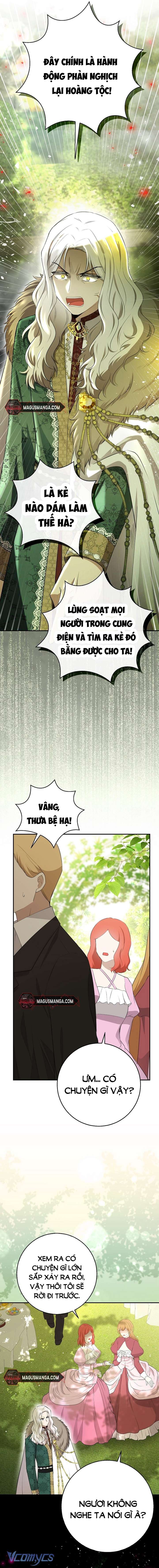 Sóc Con Tài Năng Chap 71 - Trang 2