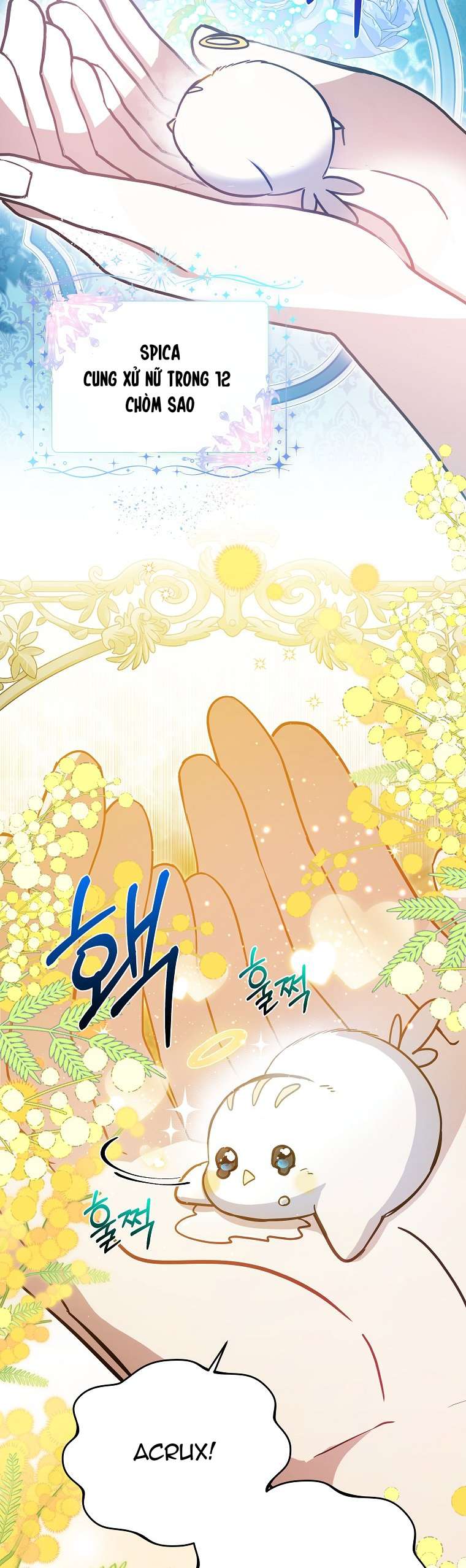 Chị Gái Tôi Là Nhân Vật Chính Chap 13 - Trang 3