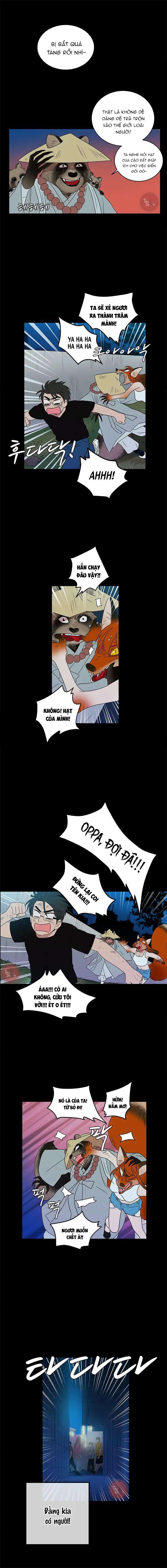 Cô Nàng Pháp Sư Chap 9 - Next Chap 10
