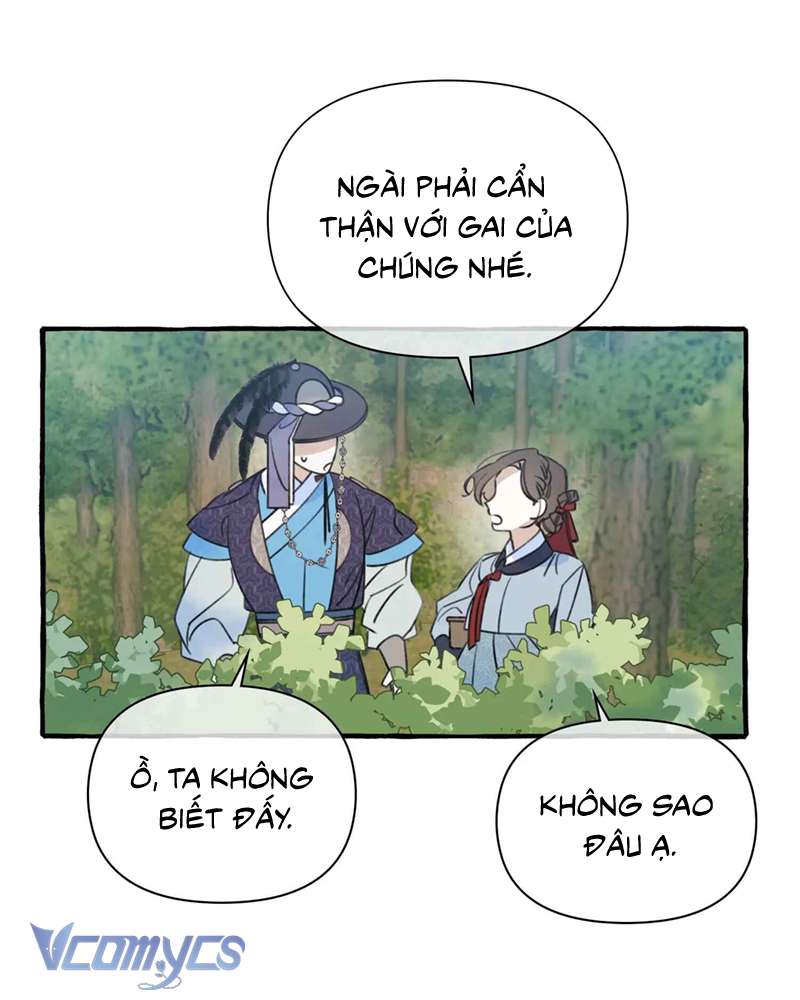 Chuyện Tình Hoa Lưu Ly Chap 3 - Trang 2