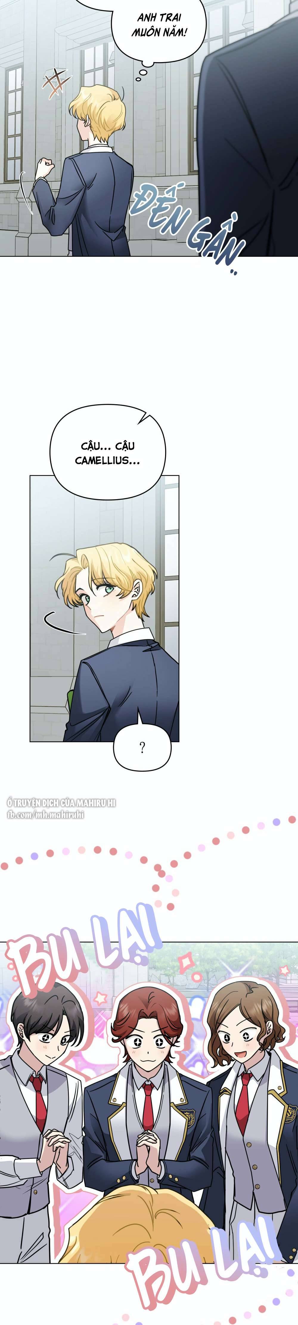 Tìm Lại Camellia Chapter 51 - Trang 4