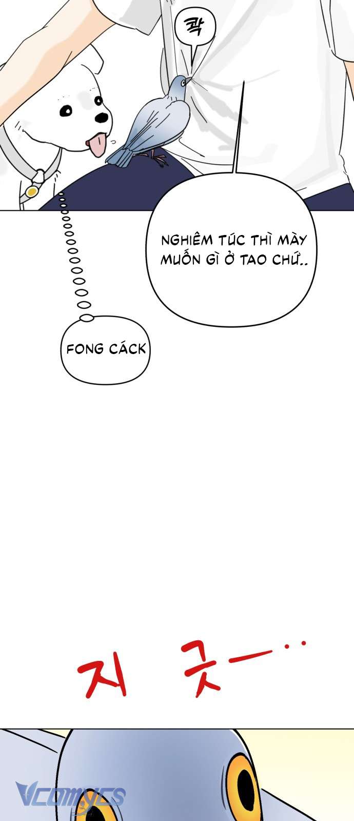 Bồ Câu Lee Heon-Seo Của Quận Seongbuk Chap 1 - Next 