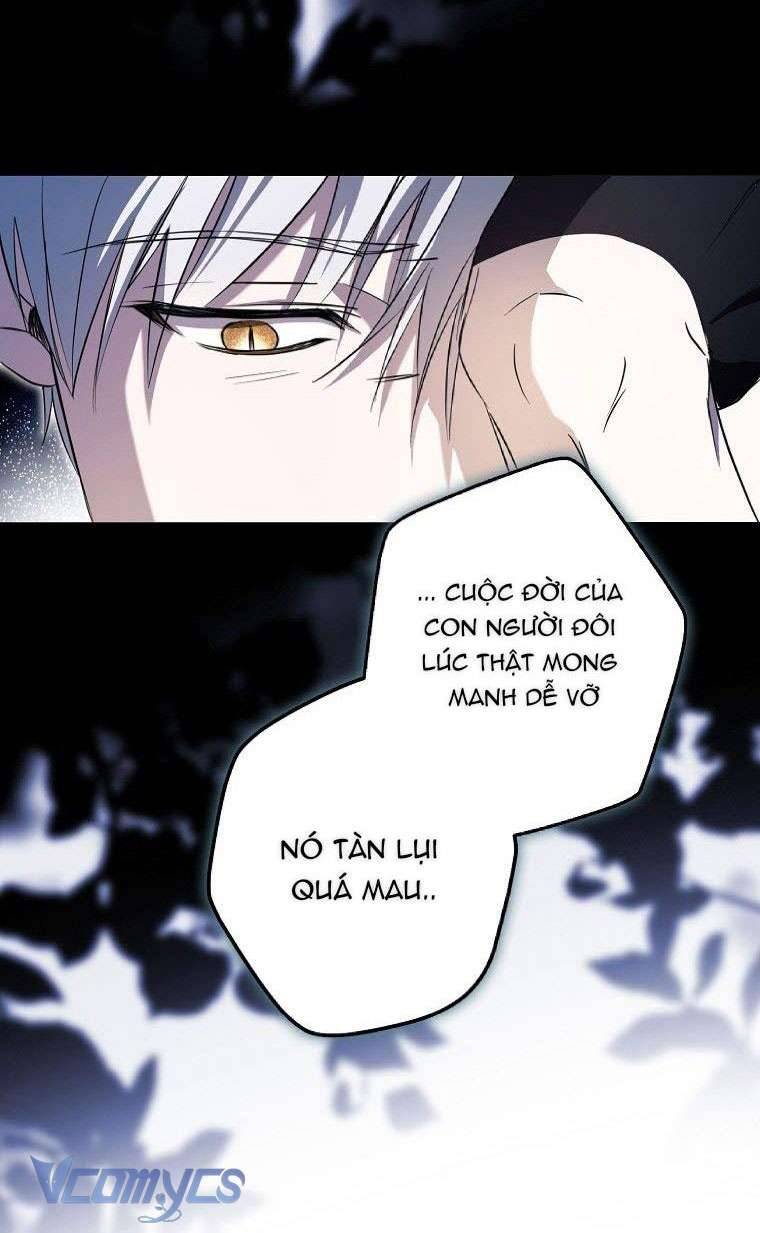 Các Nam Chính Đã Bị Nữ Phụ Cướp Mất Chap 3 - Trang 3