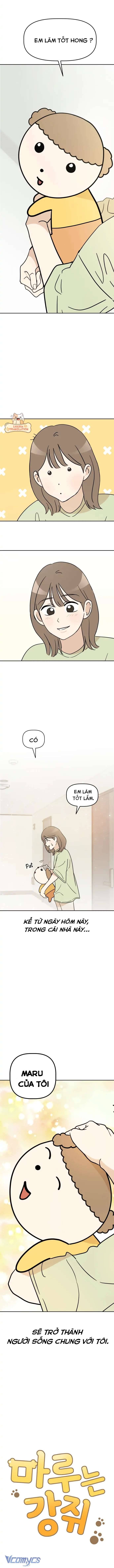 Bé Cún Maru Chap 1 - Trang 2