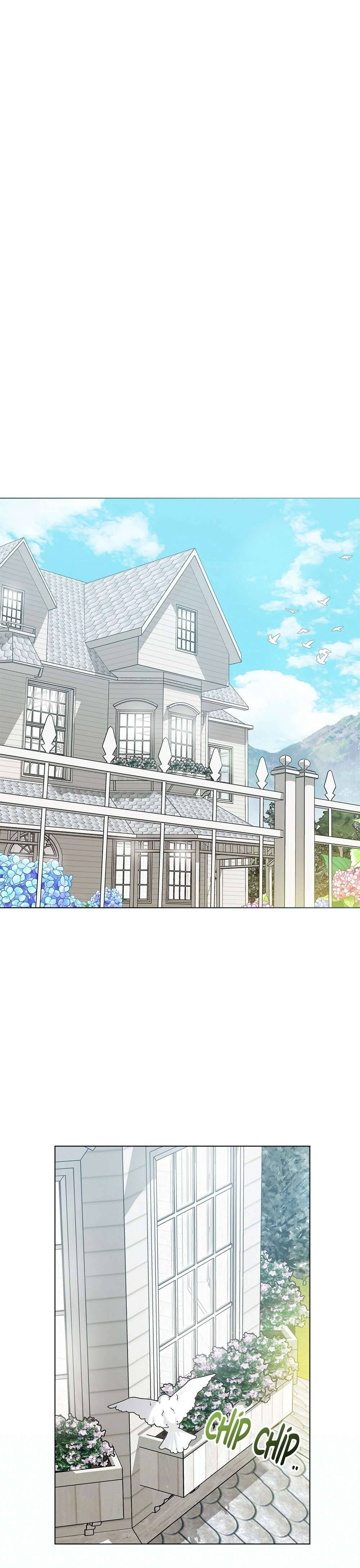 Tìm Lại Camellia Chapter 31 - Trang 4