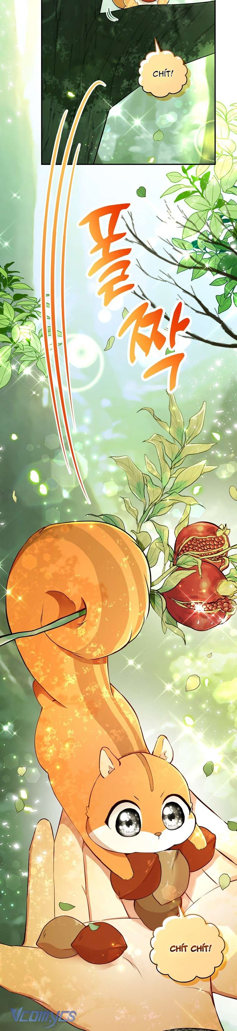 Sóc Con Tài Năng Chap 29 - Trang 2