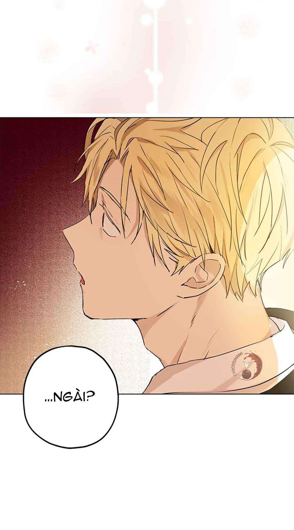 Tôi Là Minh Chứng Của Sự Thật Chap 9 - Trang 3