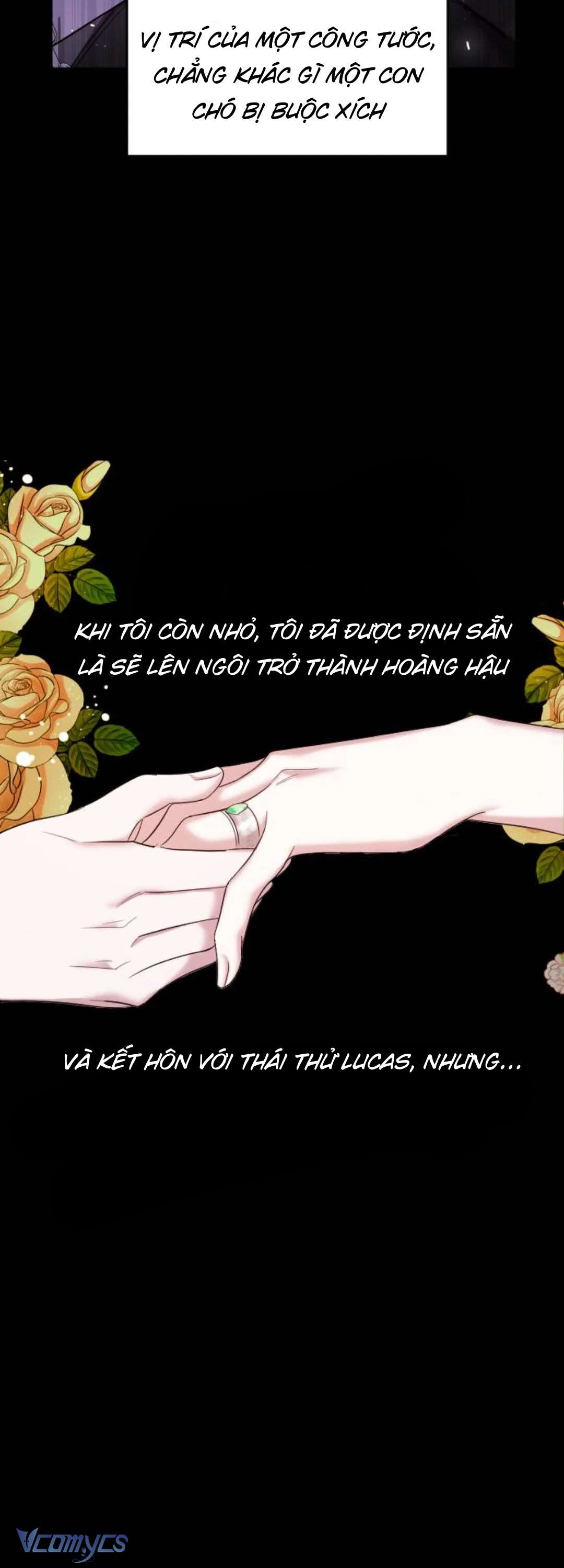 Hôn Nhân Liên Minh Để Trả Thù Chap 1 - Trang 2