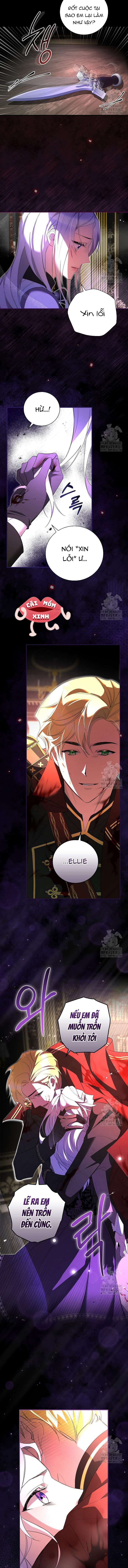 Đi Tìm Nàng Công Chúa Bỏ Trốn Chap 1 - Trang 4