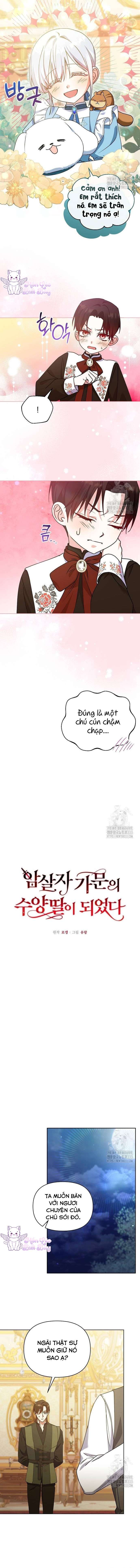 Trở Thành Con Gái Nuôi Của Gia Tộc Sát Thủ Chapter 18 - Next Chapter 19