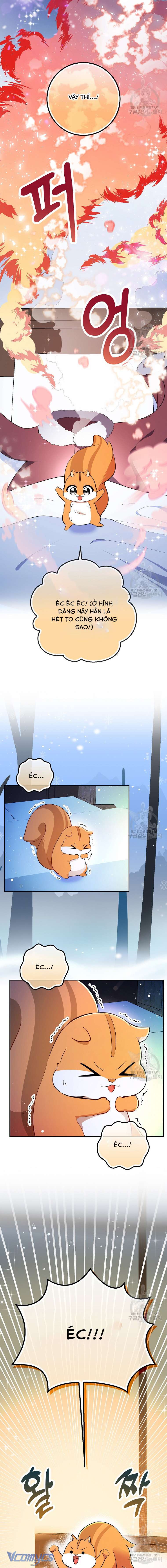 Sóc Con Tài Năng Chap 61 - Next Chap 62