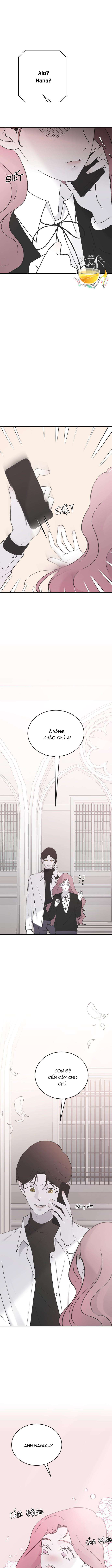 Ba Anh Trai Cực Phẩm Của Tôi Chap 41 - Trang 3