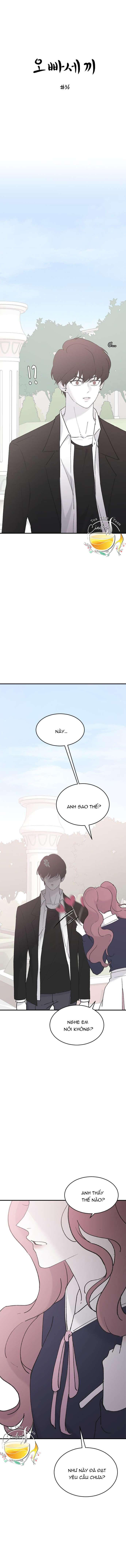 Ba Anh Trai Cực Phẩm Của Tôi Chap 36 - Trang 3