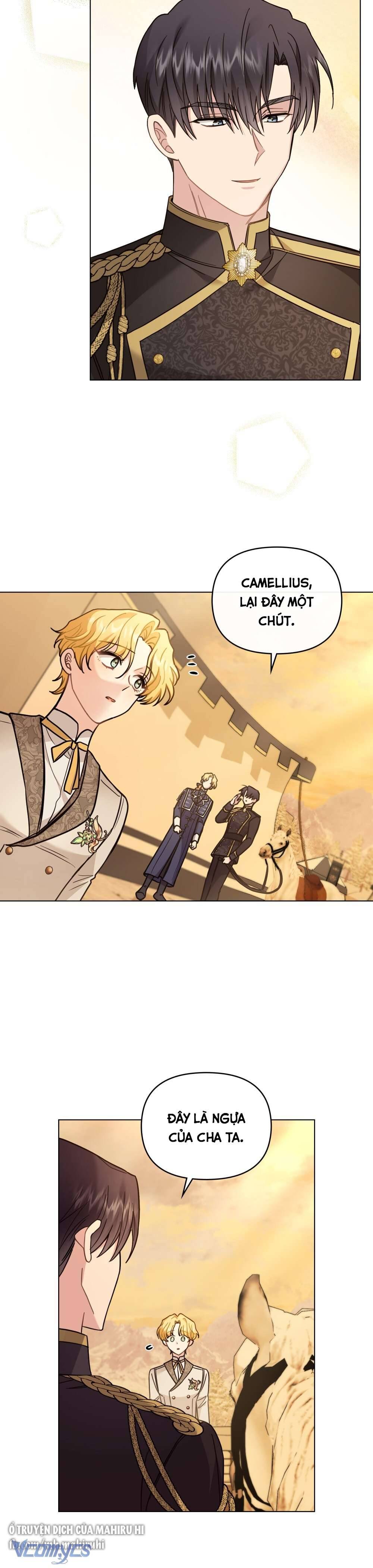 Tìm Lại Camellia Chapter 71 - Trang 4