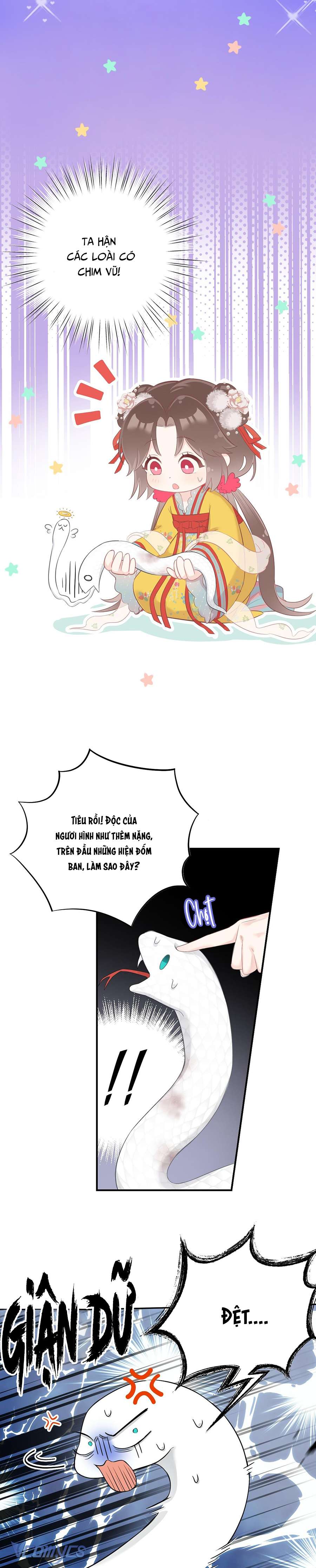 Rắn Cưng Nhà Ta Lại Trêu Ta Chap 3 - Trang 2