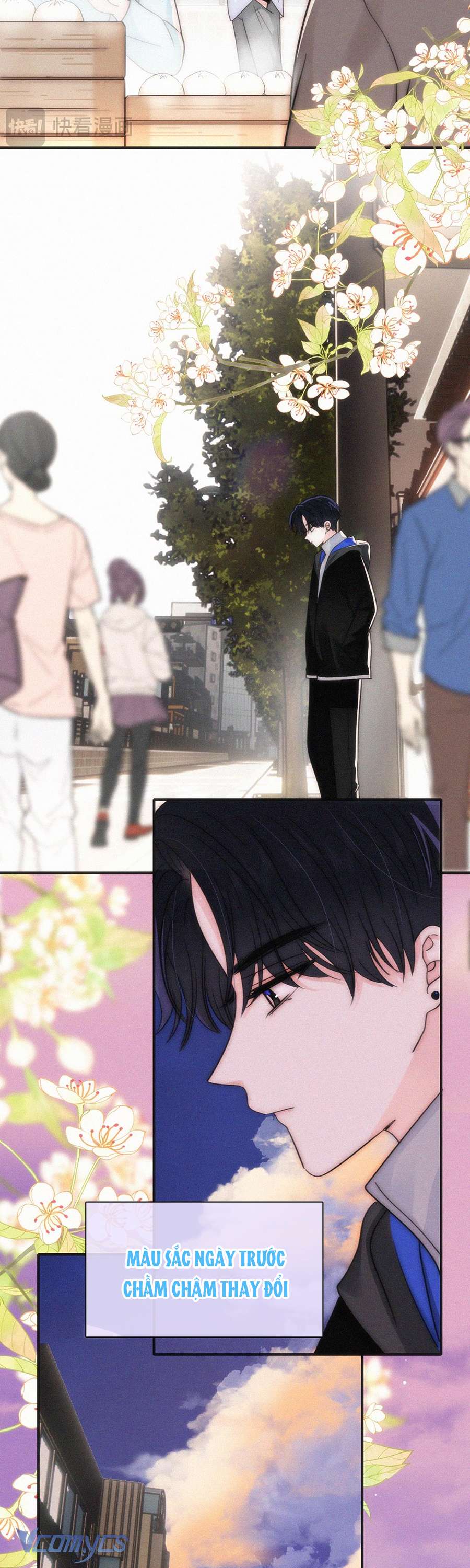 Một Mực Cưng Chiều Chap 81 - Trang 2