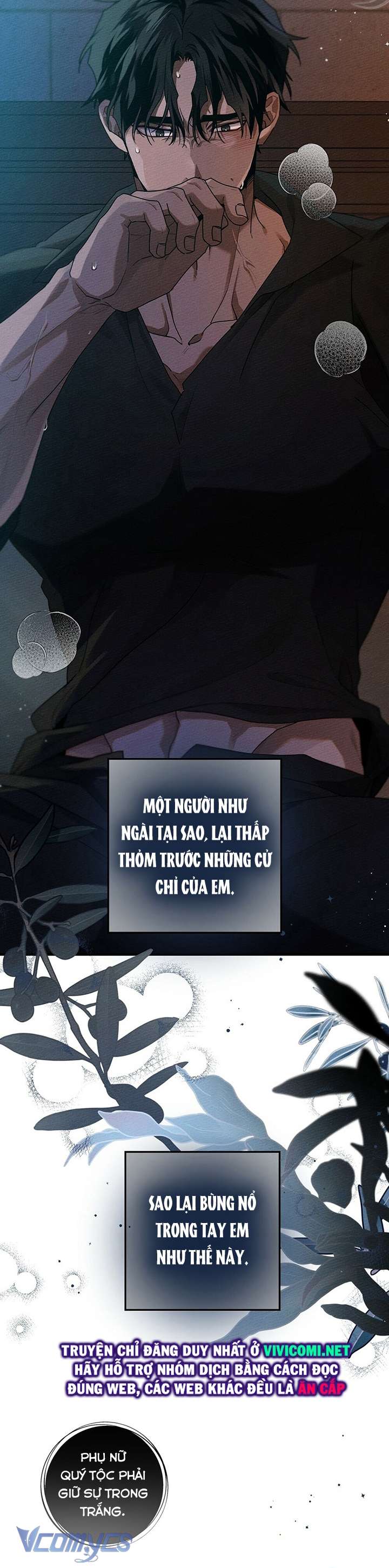 Dưới Bóng Cây Sồi Chap 53 - Trang 3