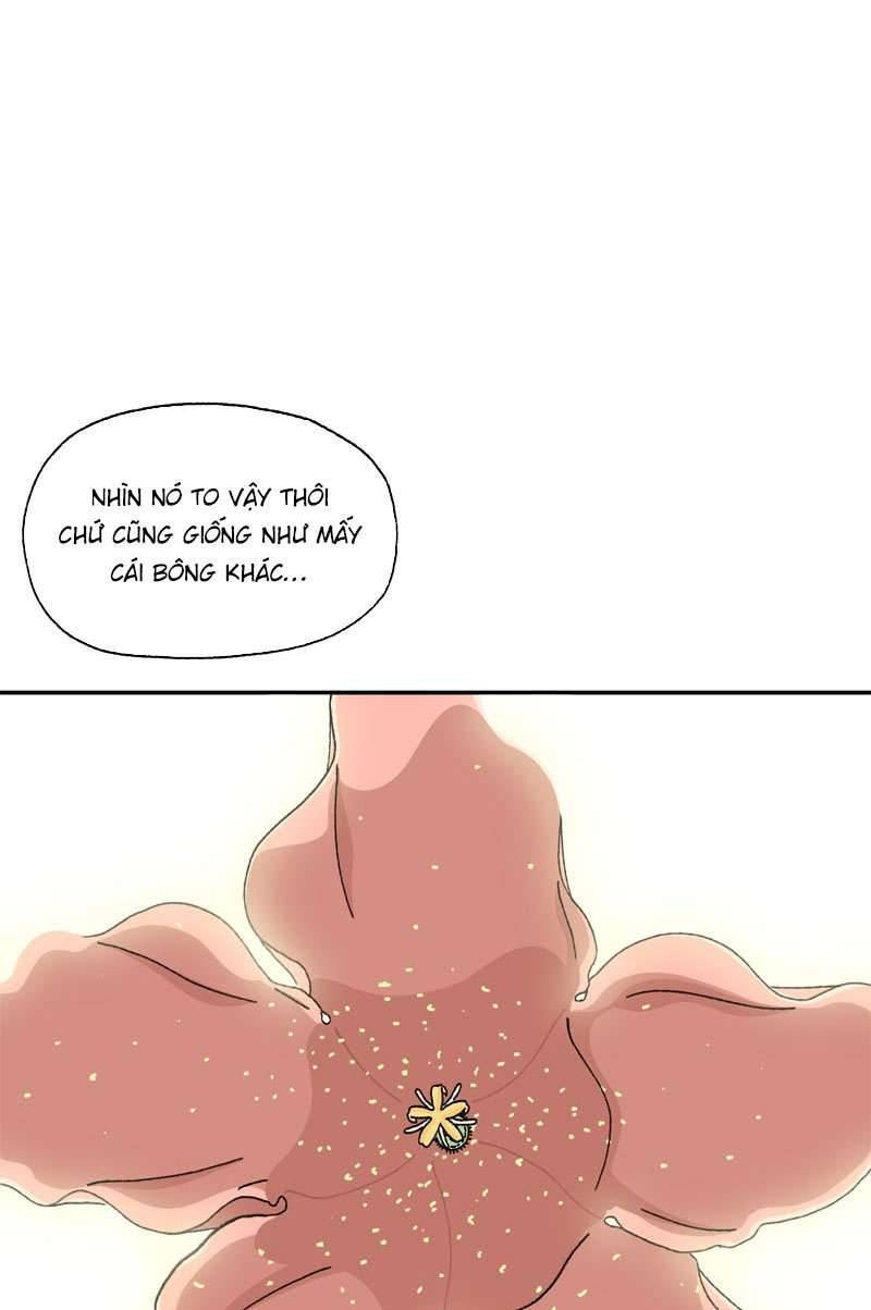Chú Mèo Tata Chapter 2 - Trang 3