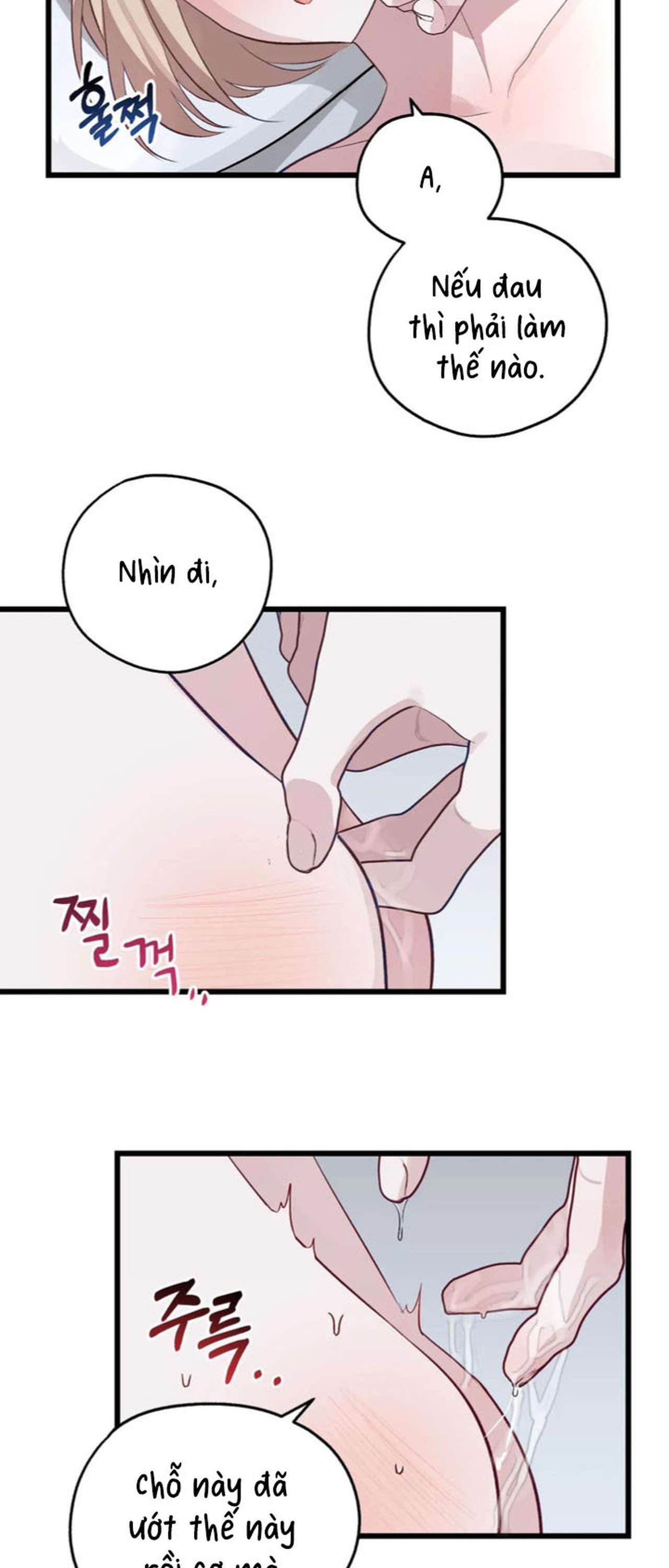 [ 18+ ] Rắn và thỏ có thể kết hôn không? Chap 3 - Trang 2
