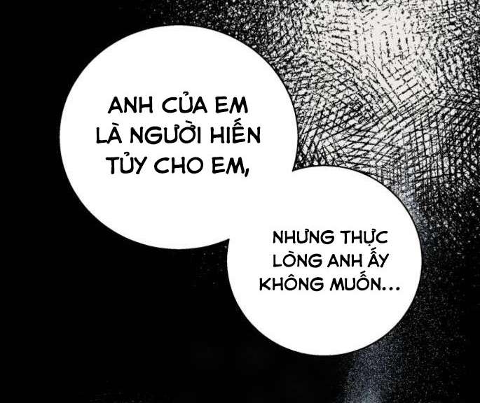 Tôi Tưởng Đó Chỉ Là Tiểu Thuyết Trọng Sinh Bình Thường Chapter 15 - Trang 4