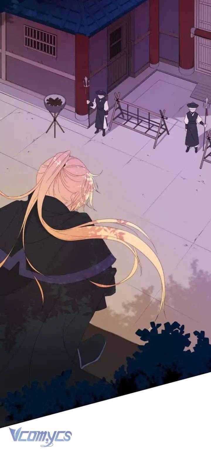 Ái Phi Khế Ước Chap 5 - Trang 2