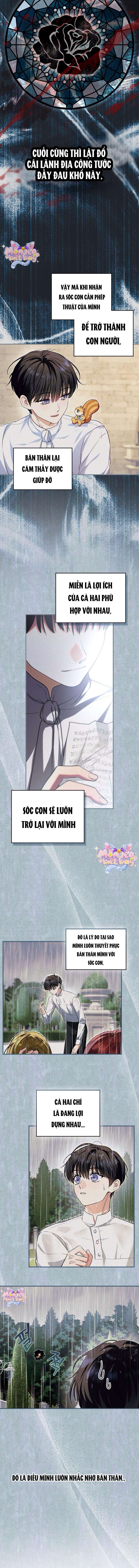 [END SS1] Trở Thành Sóc Nhỏ Của Kẻ Phản Diện Chap 6 - Trang 2