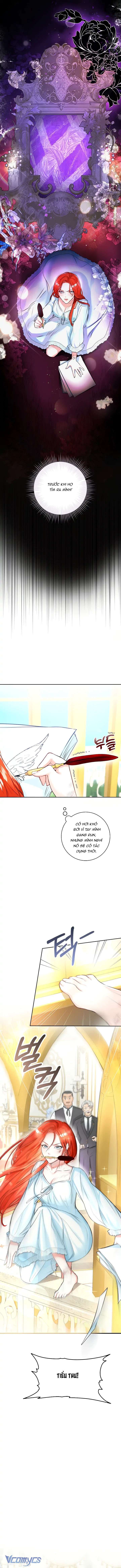 Cuộc Hôn Nhân Xa Hoa Của Đại Công Tước Là Giả Chapter 1 - Trang 4