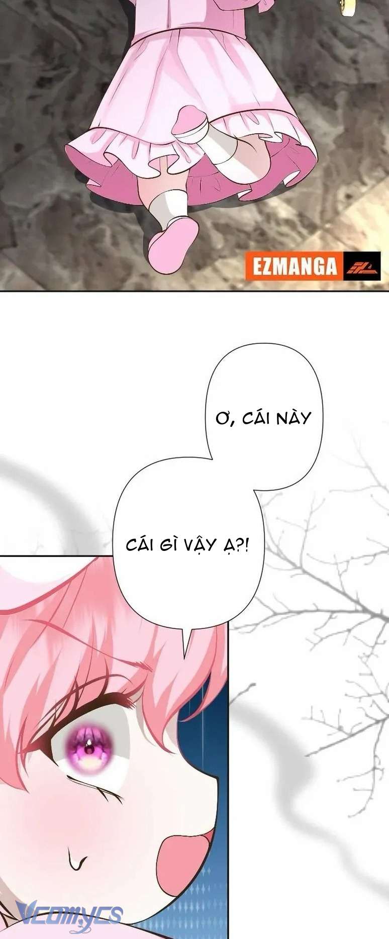 Sau Này Họ Sẽ Sinh Ra Tôi Chapter 16 - Trang 3