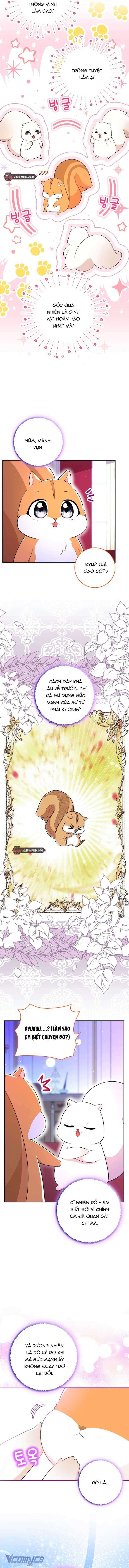 Sóc Con Tài Năng Chap 74 - Next Chap 75