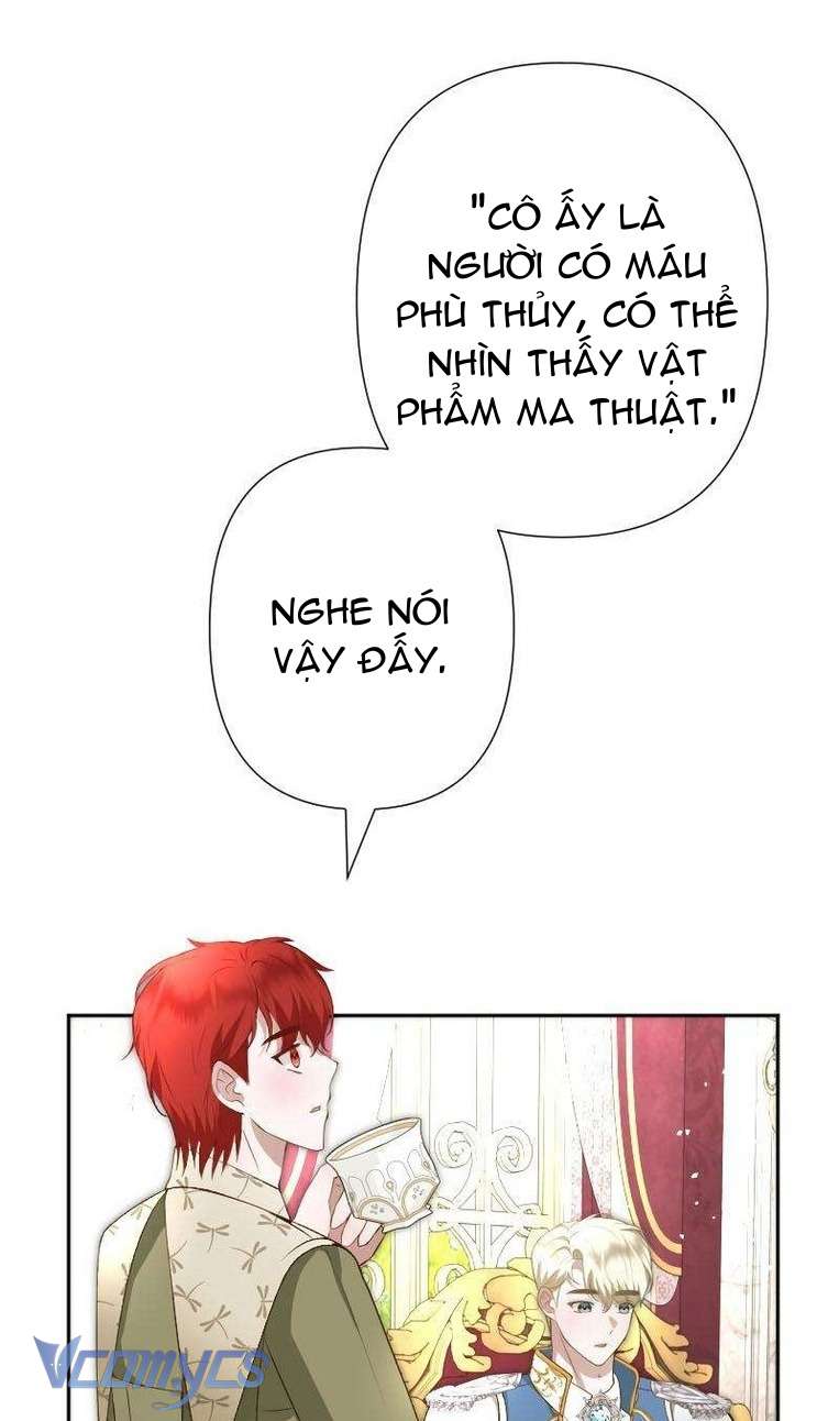 Sau Này Họ Sẽ Sinh Ra Tôi Chapter 17 - Trang 3