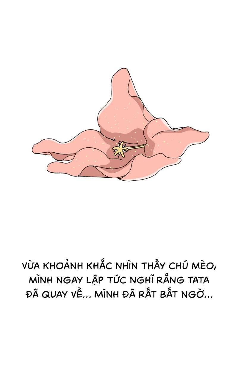 Chú Mèo Tata Chapter 3 - Trang 3