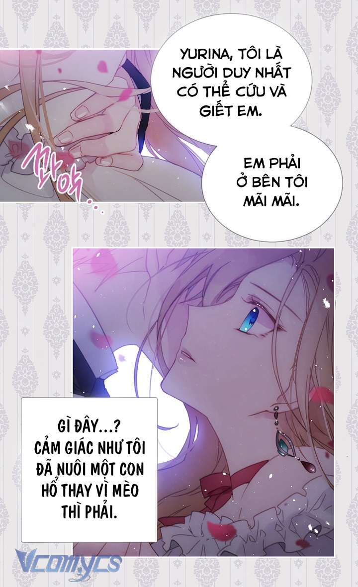 Chợ Review Nhà Họ Hoàng Chap Tôi - Next Chap Tước