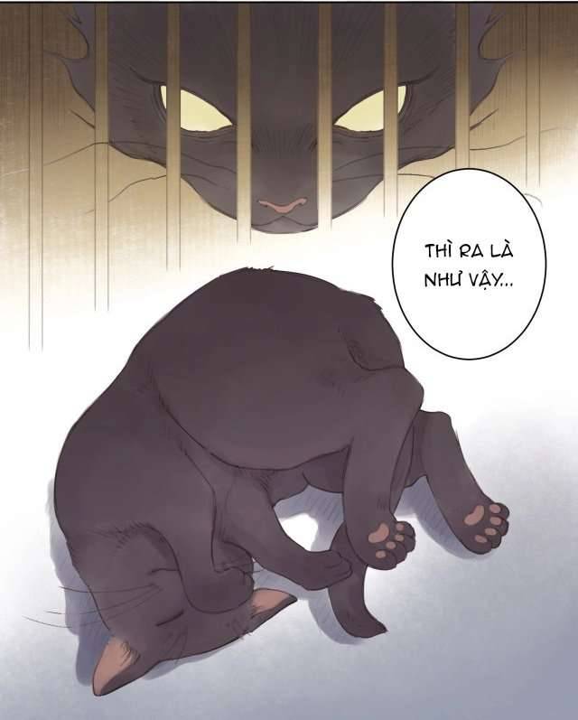 Mộng Mộng Kính Duyên Chap 8 - Trang 2