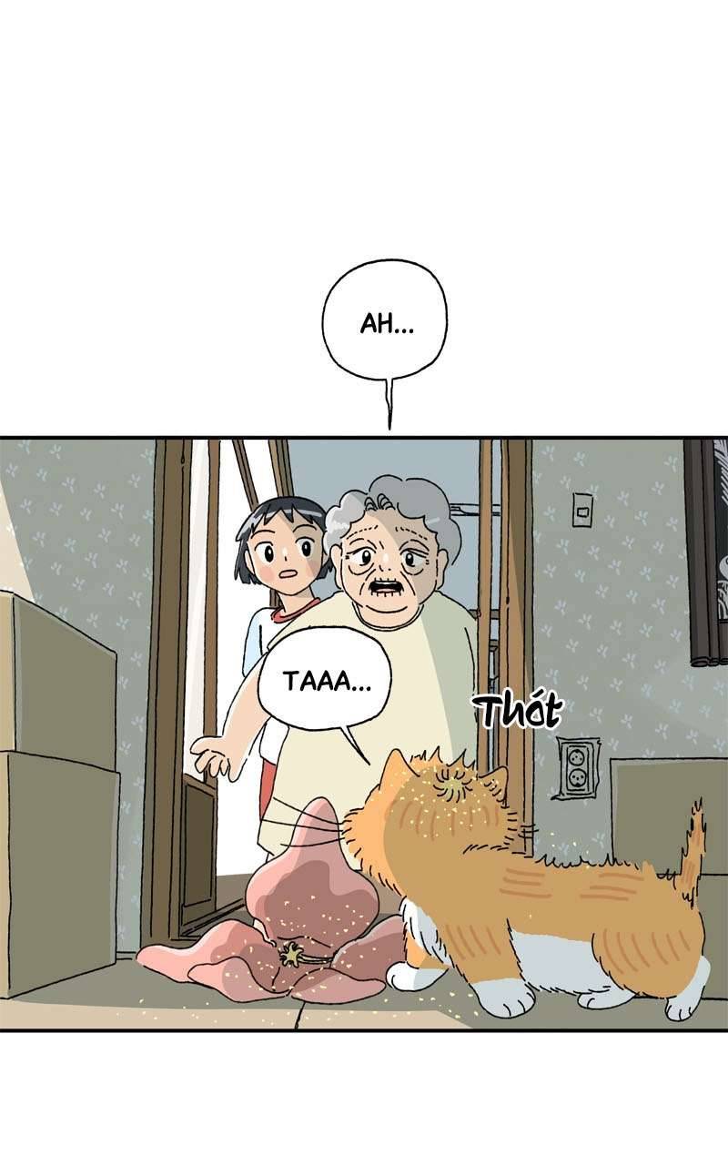 Chú Mèo Tata Chapter 3 - Trang 3