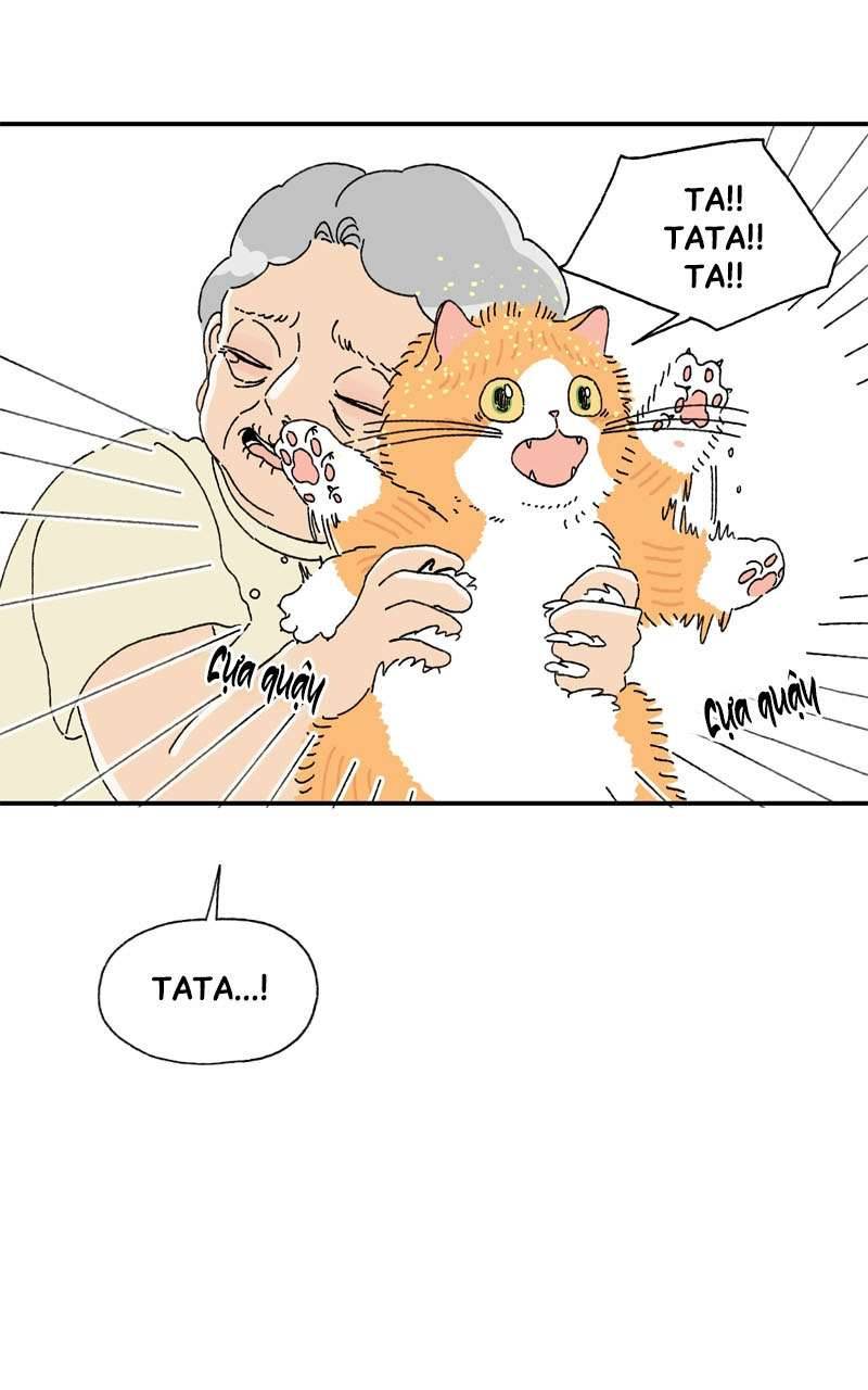 Chú Mèo Tata Chapter 3 - Trang 3